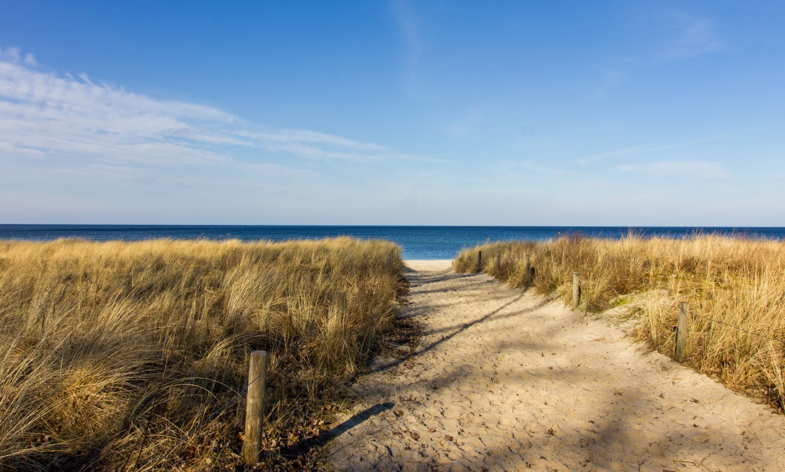 Sandweg durch die Dünen zum Ostseestrand, Strandhafer auf beiden Seiten